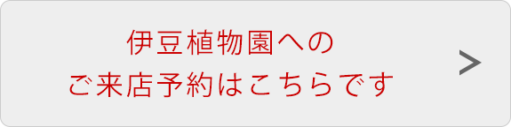 伊豆植物園へのご来店予約はこちらです