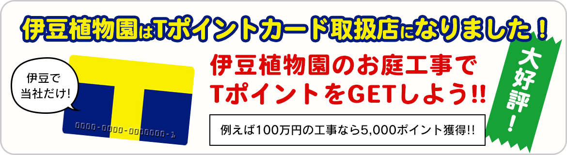 Tポイントをゲットしよう！！