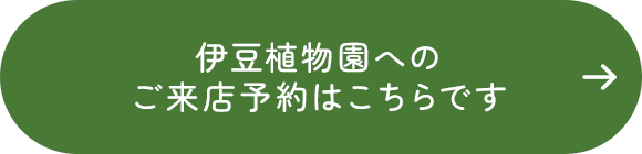 伊豆植物園へのご来店予約はこちらです