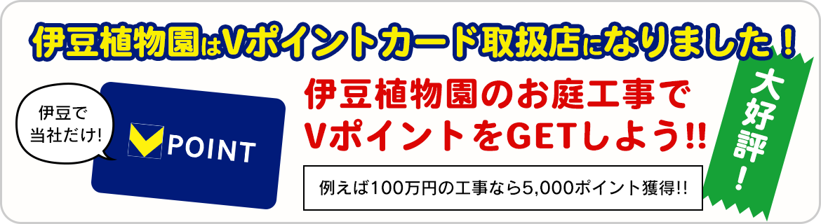 Vポイントをゲットしよう！！